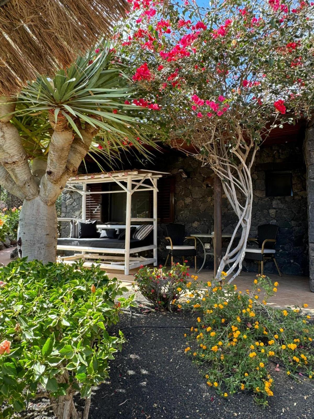 Holiday home Castillo Lanzarote Bailey - Luxury - Pet Friendly With Heated Pool