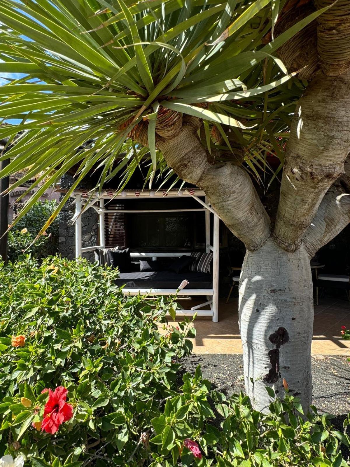 Castillo Lanzarote Bailey - Luxury - Pet Friendly With Heated Pool La Asomada (Lanzarote)