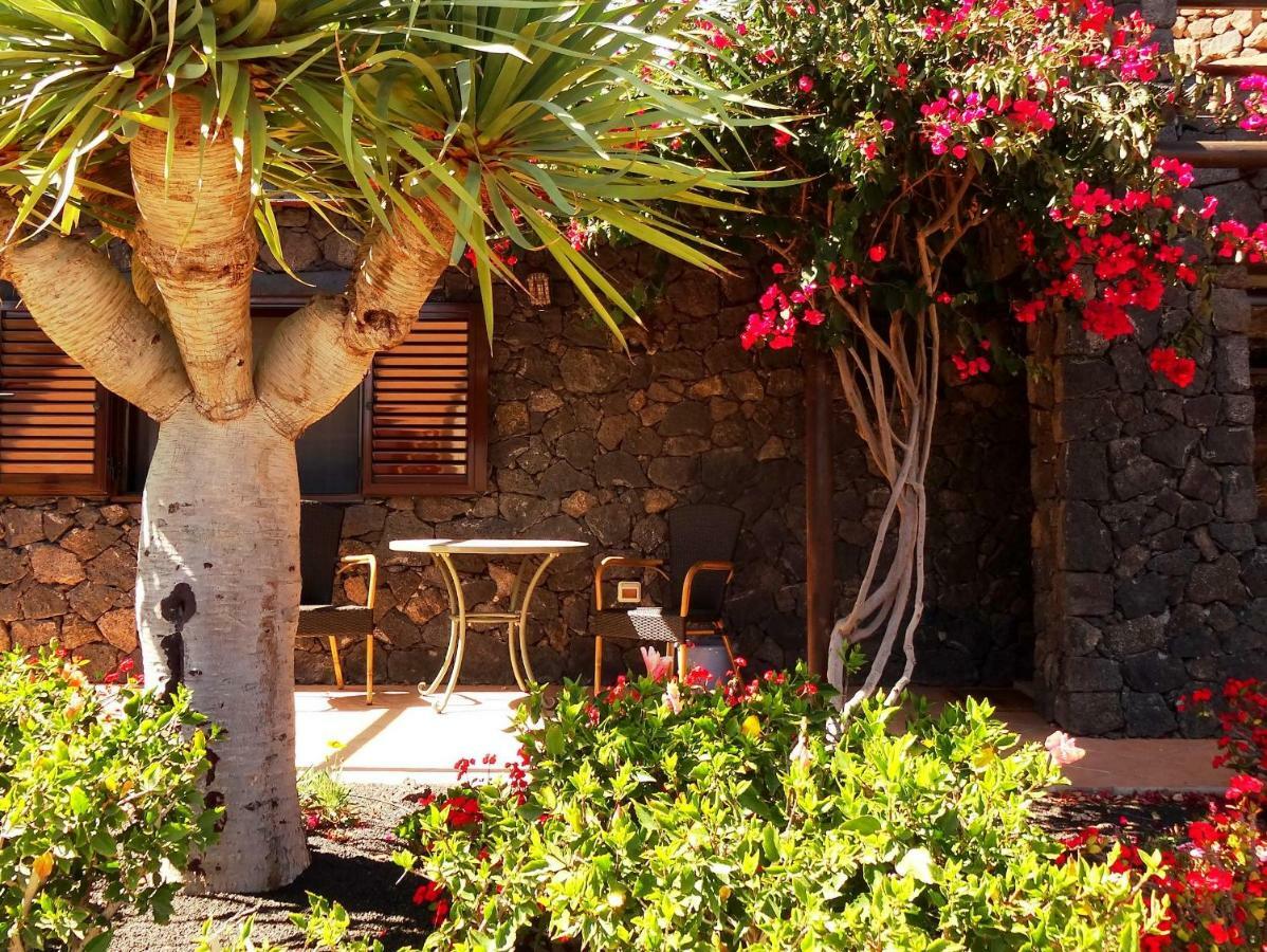 Hébergement de vacances Castillo Lanzarote Bailey - Luxury - Pet Friendly With Heated Pool